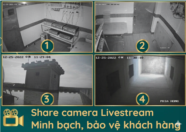 Hệ thống camera giám sát